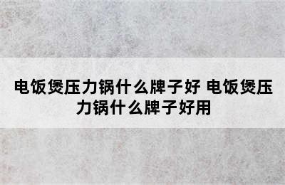 电饭煲压力锅什么牌子好 电饭煲压力锅什么牌子好用